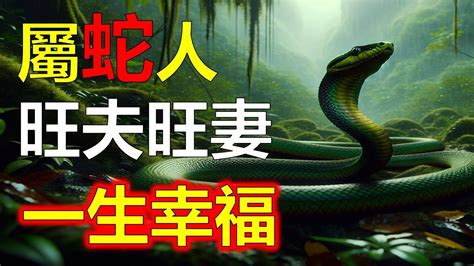 屬蛇 個性|【屬蛇 個性】屬蛇個性：2024年歲數大公開！性格剖析與運勢預。